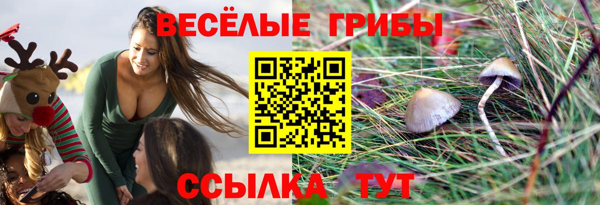 Обнинск  Псилоцибиновые грибы Cubensis  купить наркотик  Вход с VPN 